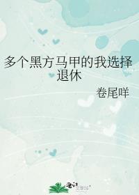 多个黑方马甲的我选择退休txt番外全