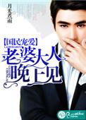 国民宠婚晚安老婆大人免费阅读的另一个名称