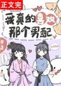 我真的喜欢那个男配txt宝书网