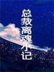 总裁离魂小记txt百度