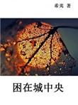 困在城中央 百度