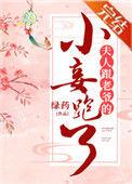 夫人跟老爷的小妾跑了TXT