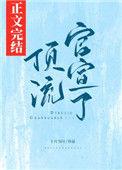 顶流什么意思?