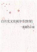 白月光又在闹分手25