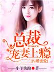 闪婚总裁宠妻上天