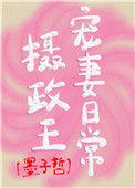 摄政王宠妻实录