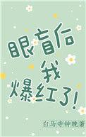 眼肓后我爆红了