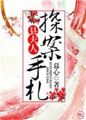 县夫人探案手札笔趣阁