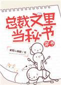 总裁文文包