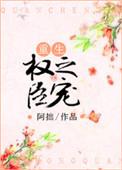 权臣之妻免费阅读全文