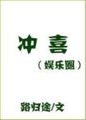 冲喜娱乐圈路归途txt