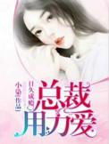 总裁~嗯