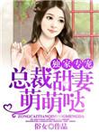 总裁的独家专属