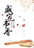 盛宠书香txt百度