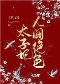 太子妃人间绝色全文阅读