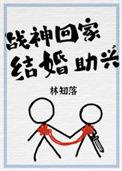 结婚助兴 林知落