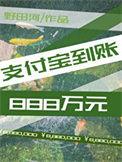 支付宝到账8800元