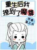 炮灰重生后撩到了魔尊 鱼之水