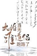 大婚当天准道侣跑路了番外 发如青丝
