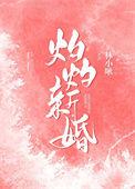 灼灼新婚乔婳贺临洲大结局