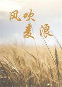 风吹麦浪稻花香完整版原唱