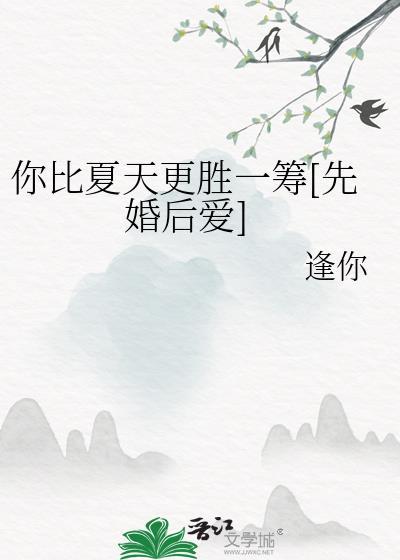 你比夏天热烈全文阅读