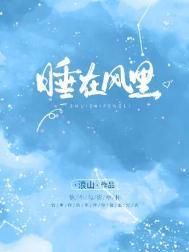想睡在风里丢掉记忆