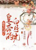 重生后我顶替了前夫的白月光