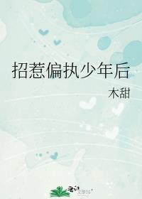 招惹偏执少年后by