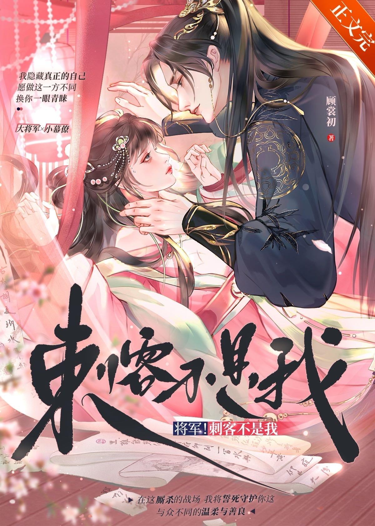 将军x刺客