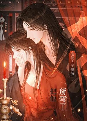 偷揣太子崽后百度