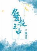 繁枝之中txt书包网