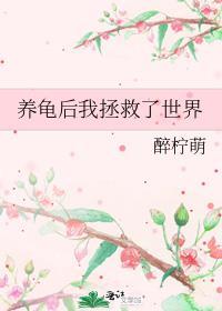 养龟界大佬