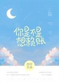 你是不是想赖账番外免费阅读