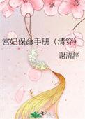 宫妃如何