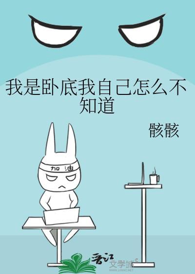 我是卧底什么意思
