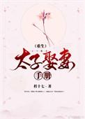 太子娶妻手册(重生)