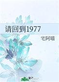 请回到我的频道电视剧免费观看