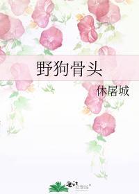 野狗骨头完结了吗