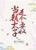 当了太子侍妾的我逃了