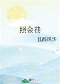 照金巷讲的什么结局是什么
