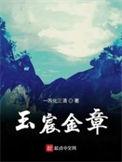 玉宸金章TXT奇书网