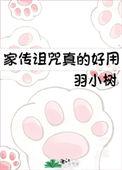 家传诅咒真的好用TXT