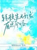 转校生好像有点奇怪TXT盘