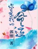 你是我的命运全度妍电影