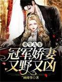 重生之九零军长娇俏妻