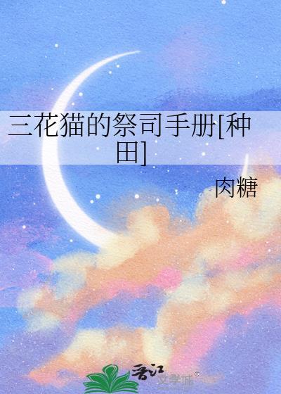 二周目玩家是什么意思