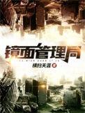 镜面管理局讲了什么