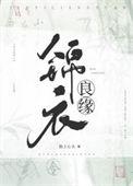 锦衣良缘金手指版