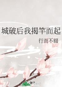 城破后我揭竿而起好看吗?